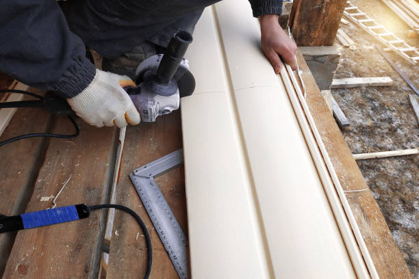 Best Siding Painting and Refinishing  in University, FL