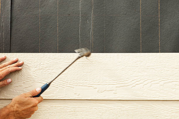 Best Brick Veneer Siding  in University, FL